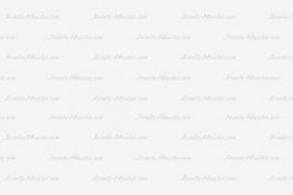 Maecenas sollicitudin